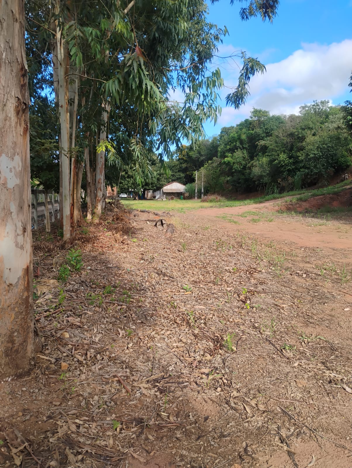 foto tirada pela minha mãe 01/03/2026